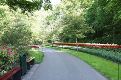 Photo of Pathway in park with green trees and beautiful flowers on sunny day. Spring season
