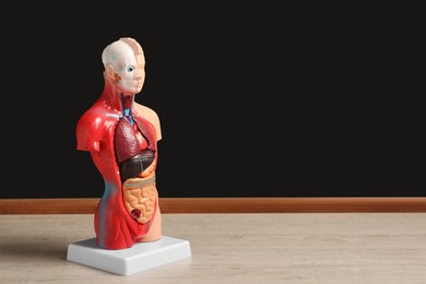 Photo of Human anatomy mannequin showing internal organs near chalkboard. Space for text
