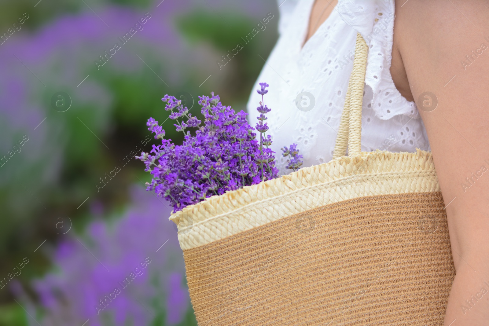 Photo of Woman with bag of beautiful lavender flowers in field, closeup