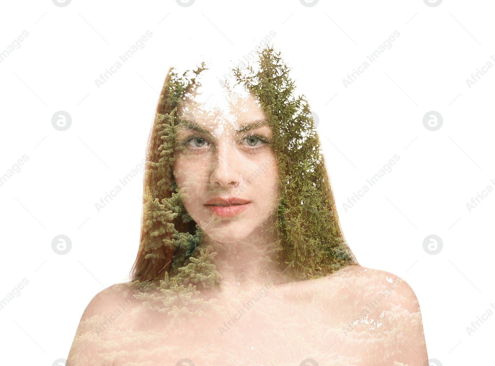 Image of Double exposure of beautiful woman and trees on white background