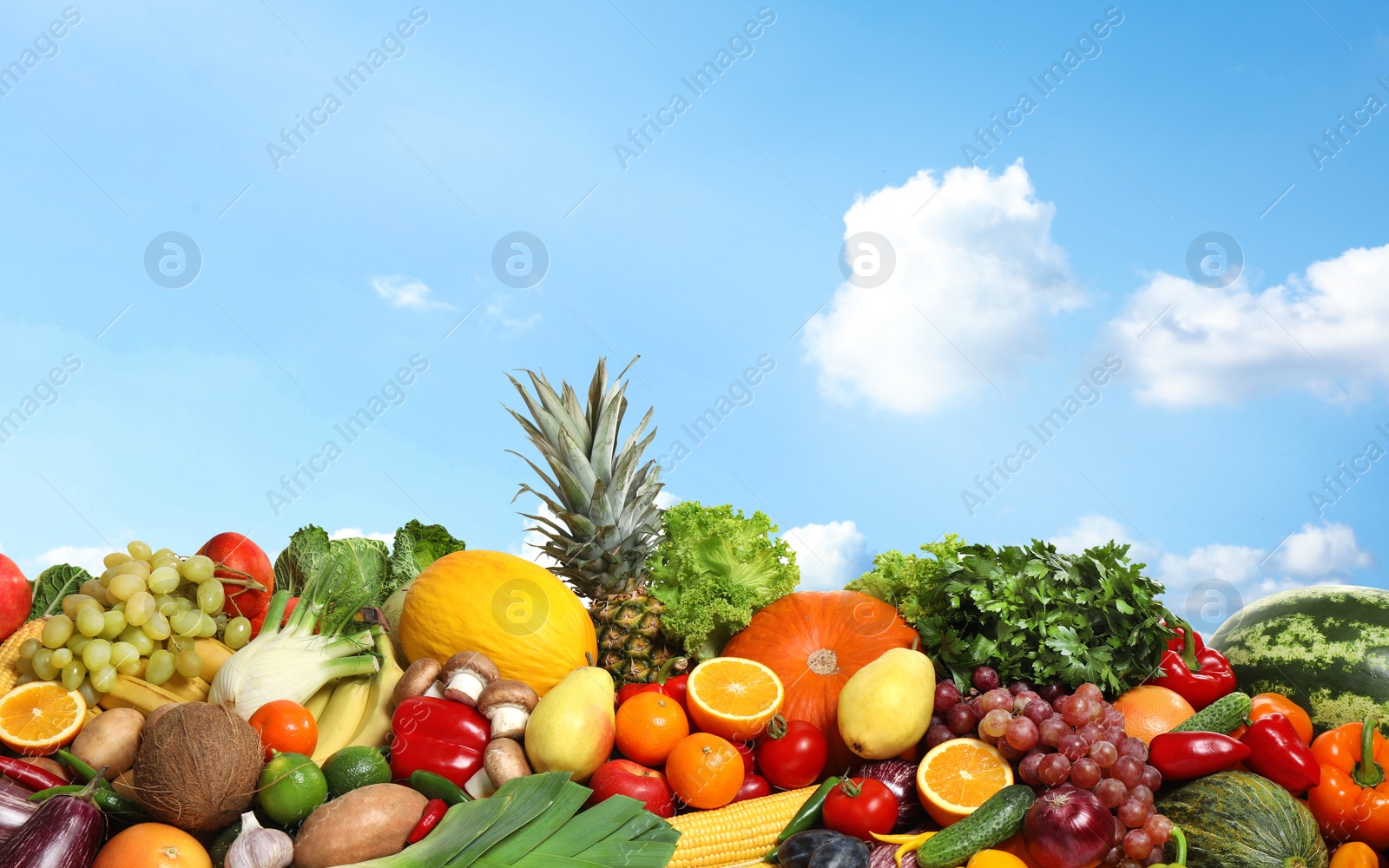 Image of Assortment of fresh organic fruits and vegetables outdoors