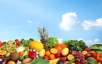 Assortment of fresh organic fruits and vegetables outdoors