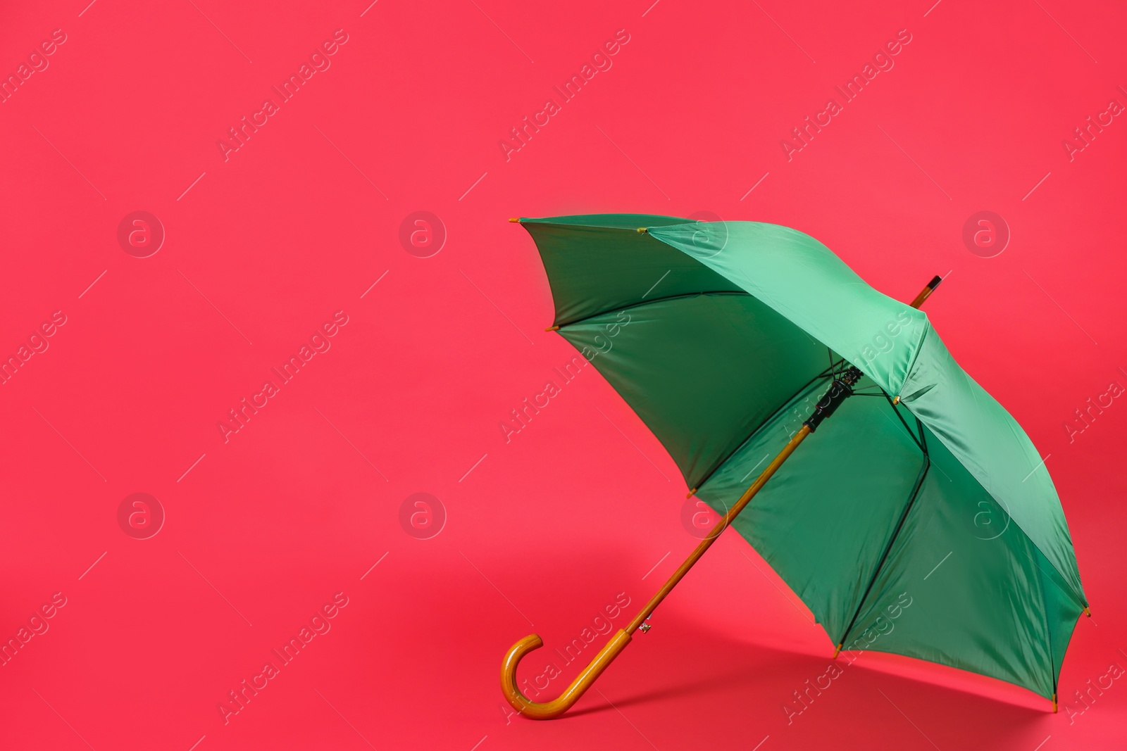 Photo of Beautiful green umbrella on red background. Space for text