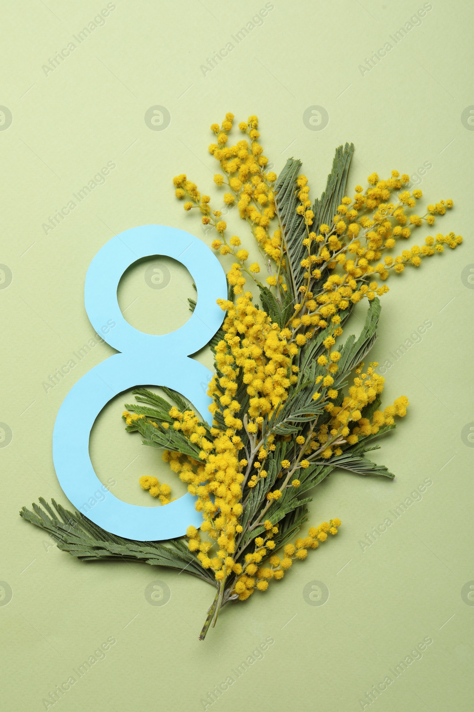 Photo of 8 March greeting card design with beautiful mimosa flowers on green background, flat lay