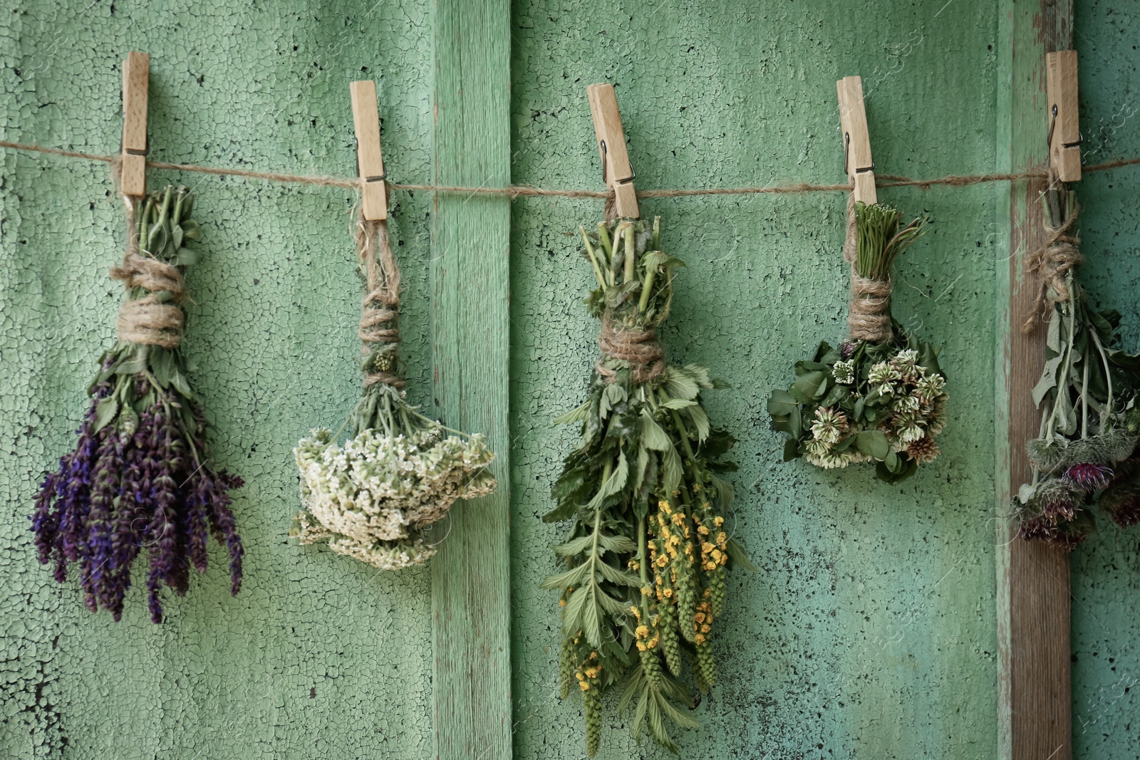 Photo of Bunches of different beautiful dried flowers hanging on rope near old wooden wall