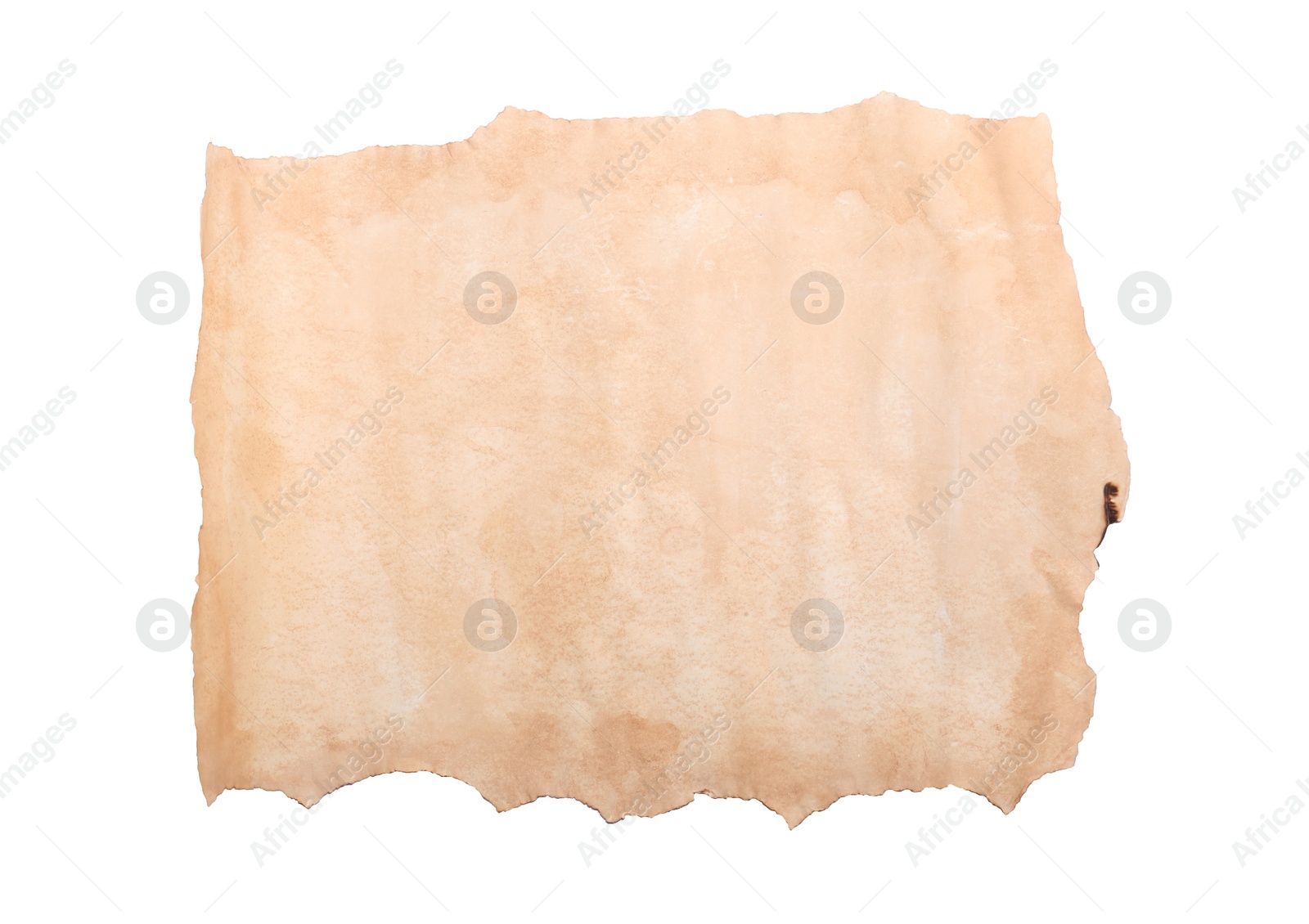 Photo of Blank sheet of old parchment paper on white background, top view