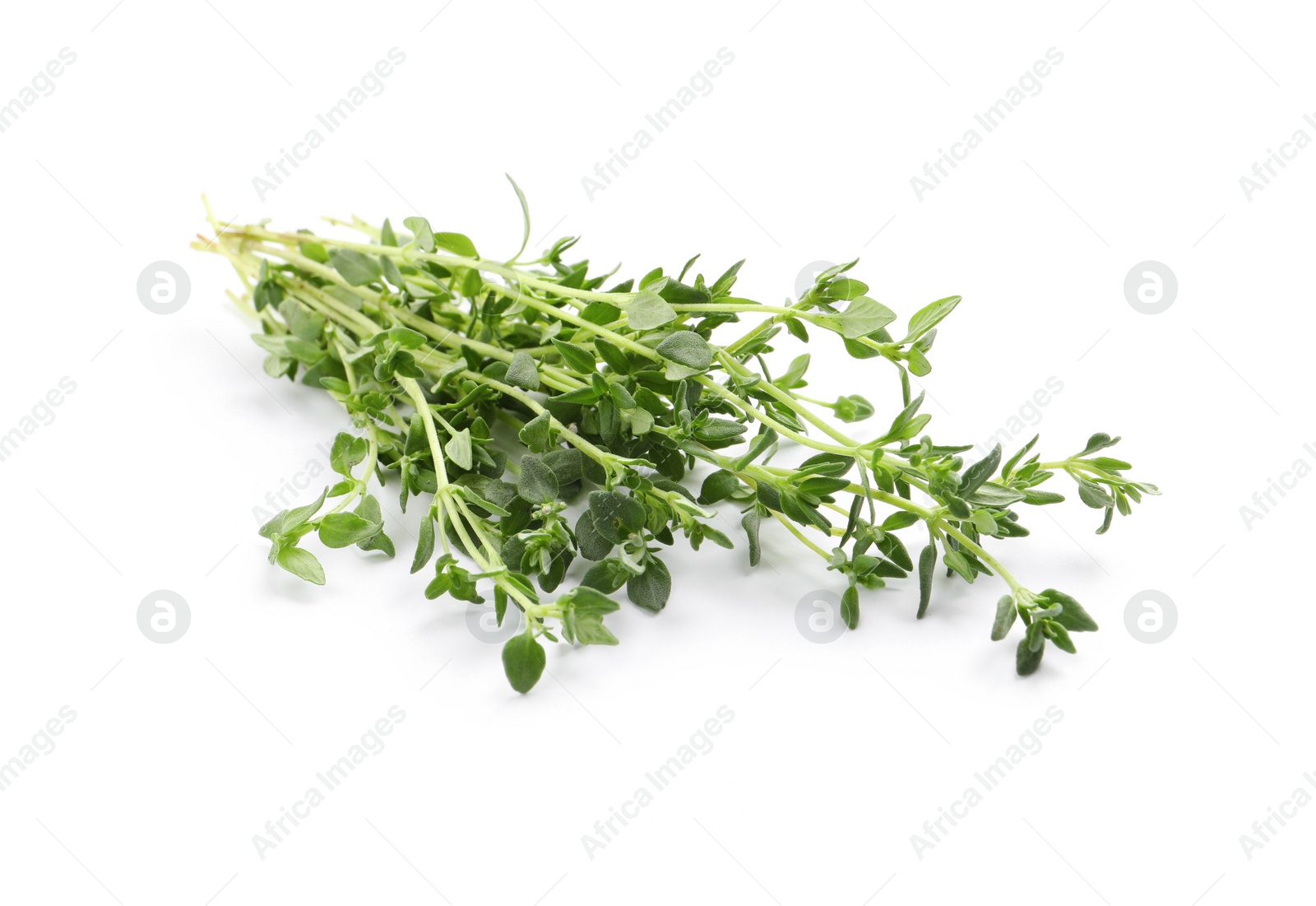 Photo of Bunch of aromatic thyme on white background. Fresh herb