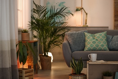 Living room interior with green houseplants and sofa