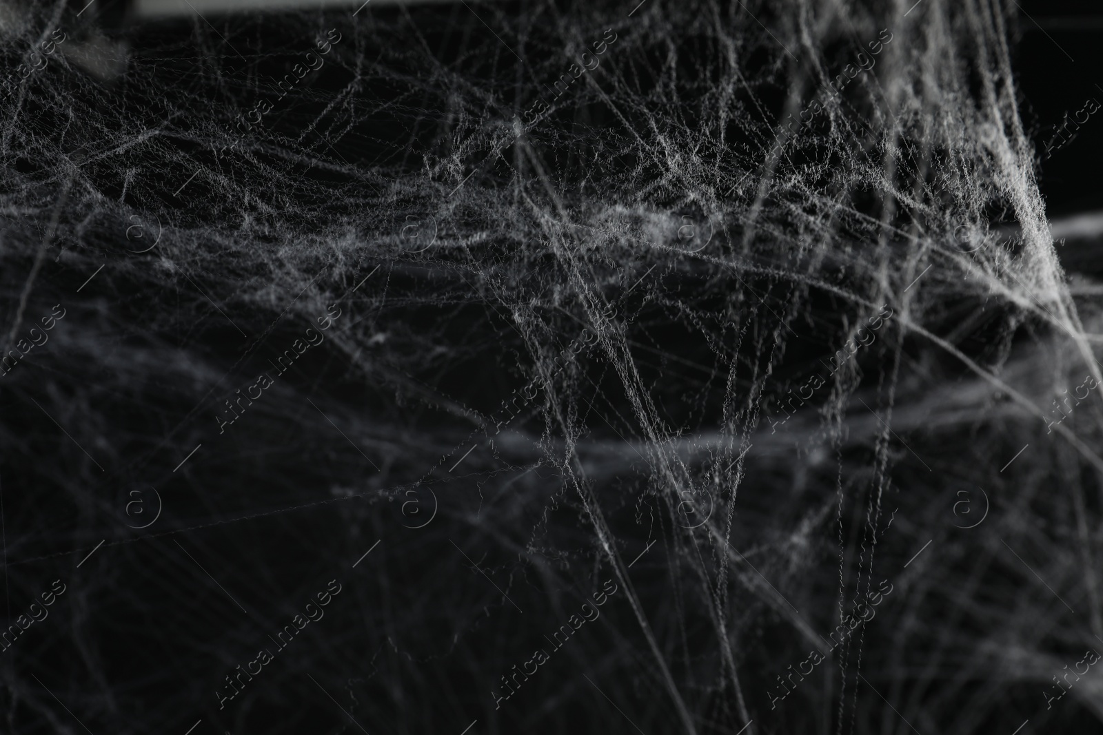 Photo of Creepy white cobweb on black background, closeup