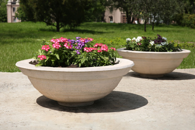 Beautiful colorful flowers in stone plant pots outdoors on sunny day