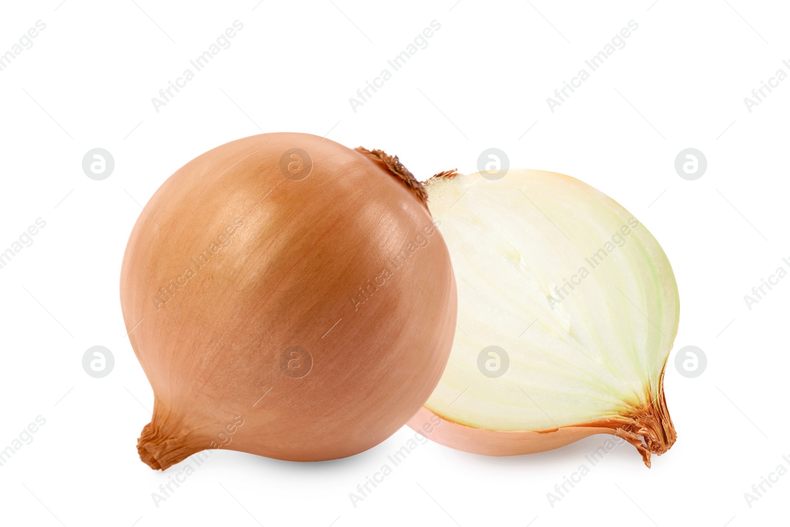 Image of Whole and cut onion bulbs isolated on white