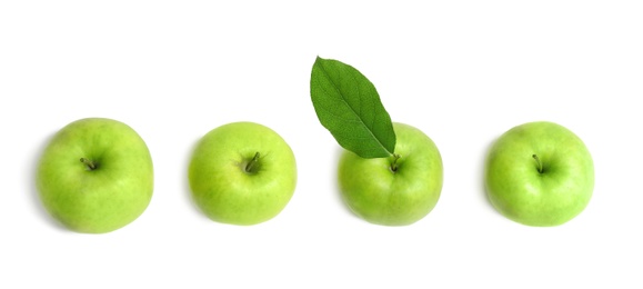 Photo of Fresh green apples on white background, top view