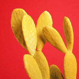 Image of Yellow cactus on red background. Creative design