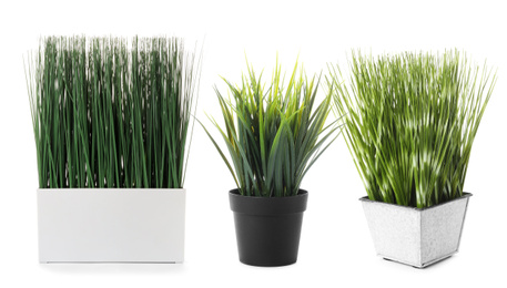 Set of artificial plants in flower pots isolated on white. Banner design