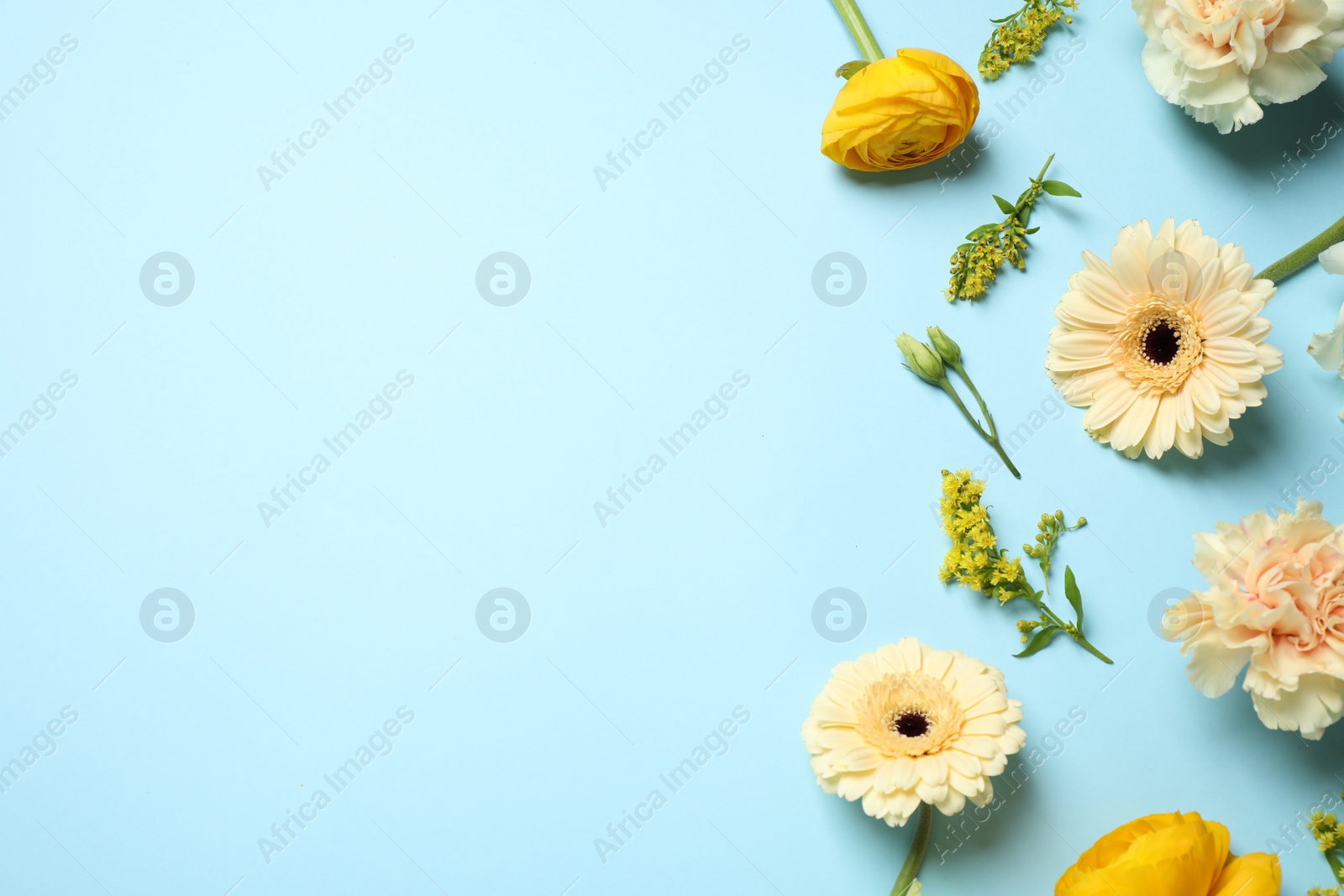 Photo of Floral composition with beautiful flowers on light blue background, flat lay. Space for text