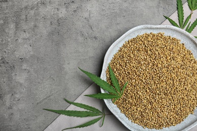 Plate with hemp seeds and space for text on grey background, top view