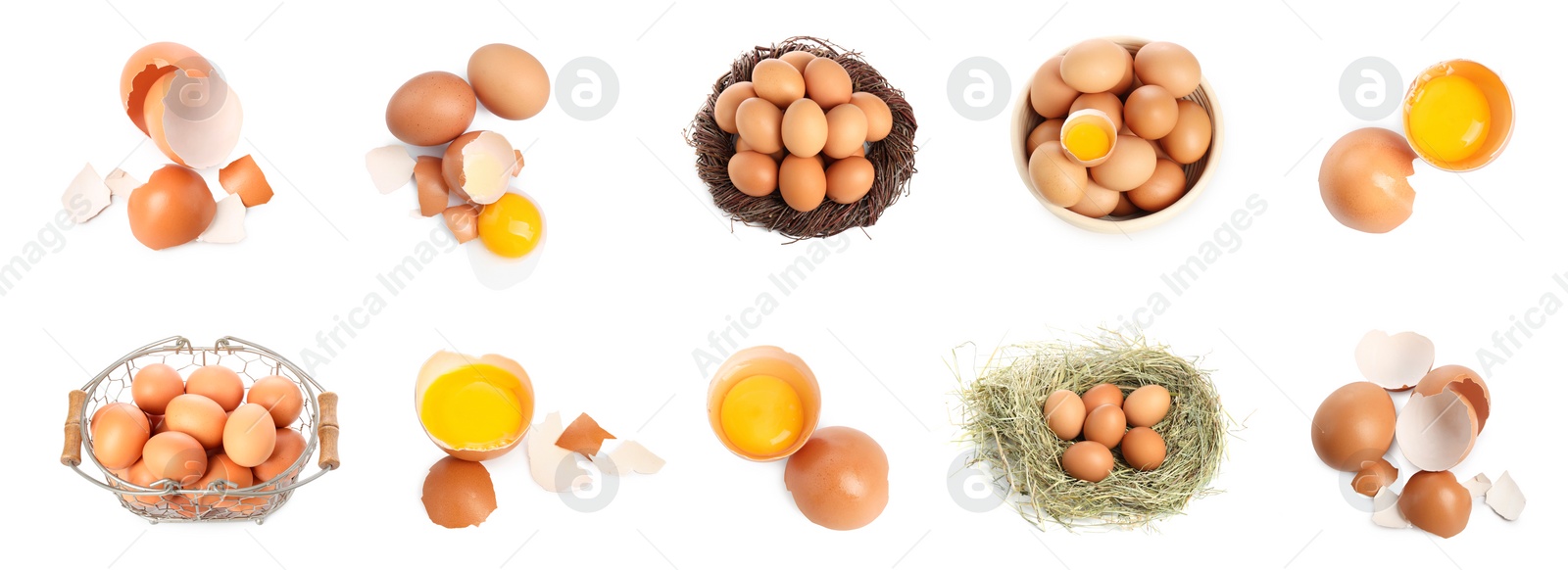 Image of Set of many eggs on white background