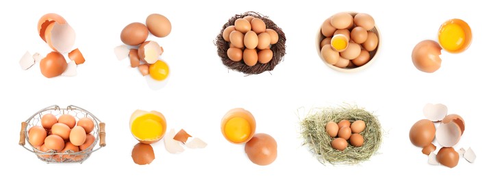 Image of Set of many eggs on white background