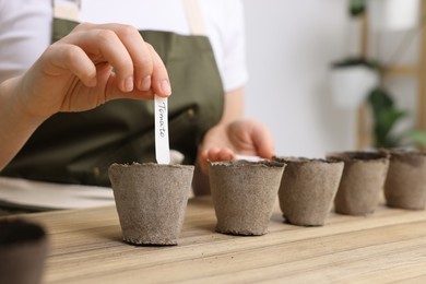 Photo of Woman inserting cards with names of vegetable seeds into peat pots at table indoors, closeup