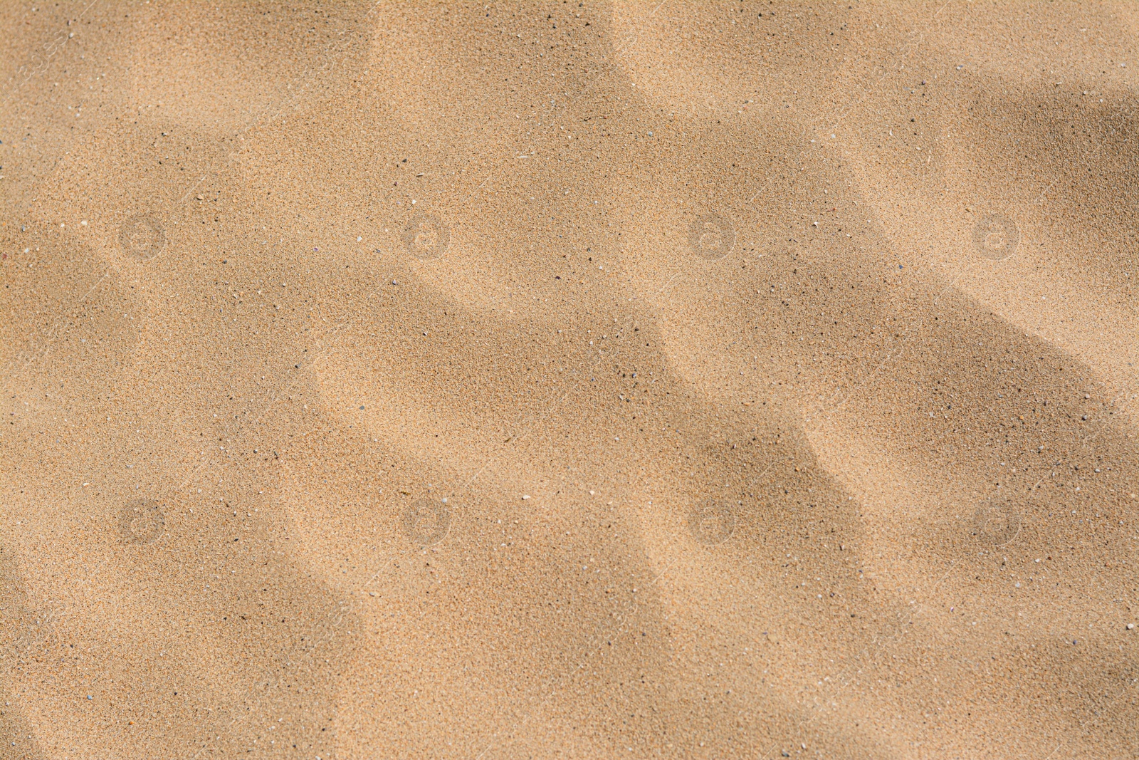 Photo of Texture of sandy beach as background, top view