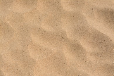 Photo of Texture of sandy beach as background, top view