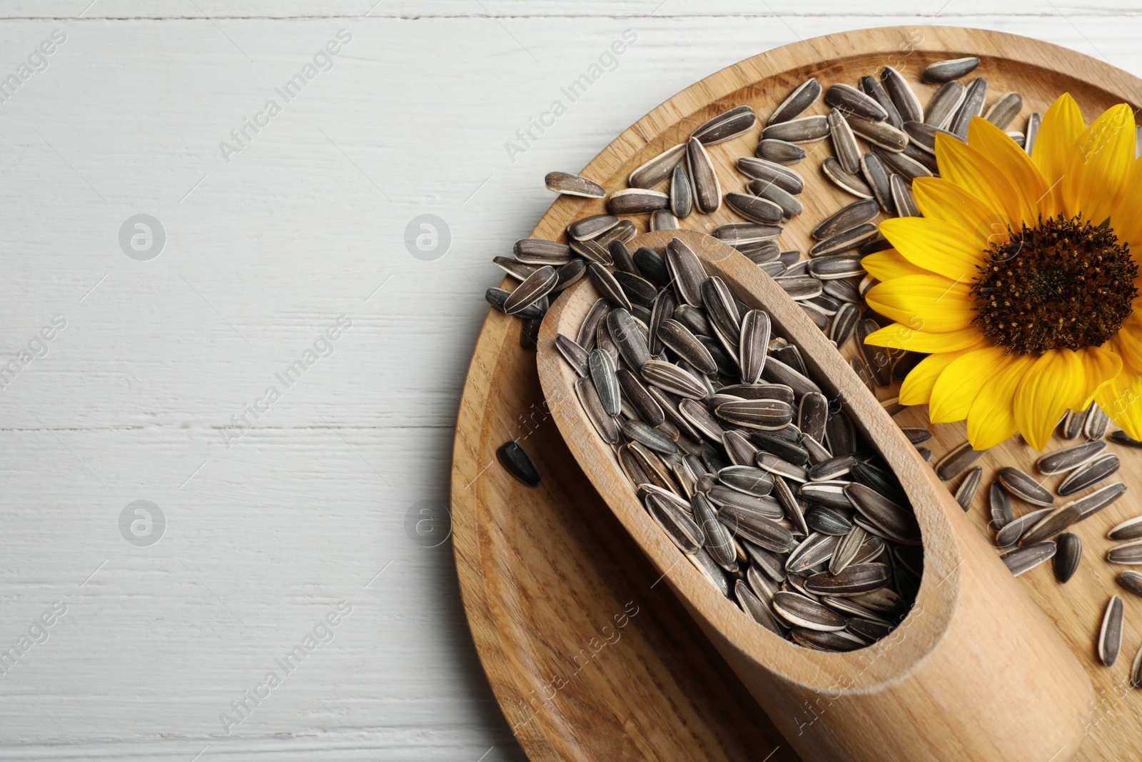 Photo of Raw sunflower seeds and flower on white wooden table, top view. Space for text
