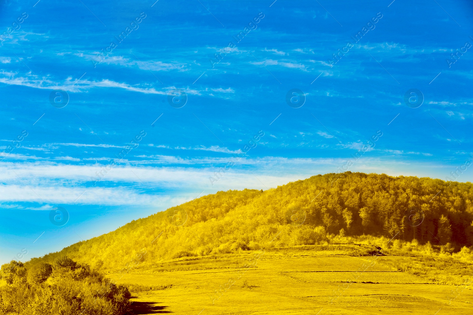 Image of Ukrainian flag. Picturesque view of yellow landscape under blue sky