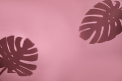 Shadows of monstera leaves on pink background