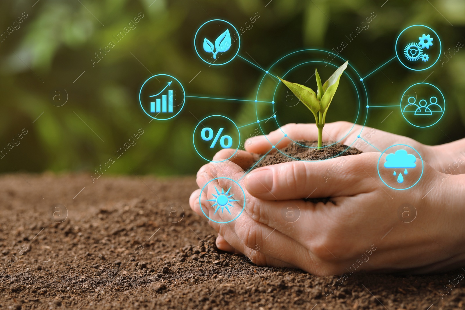 Image of Modern technology in agriculture. Woman with green seedling and icons