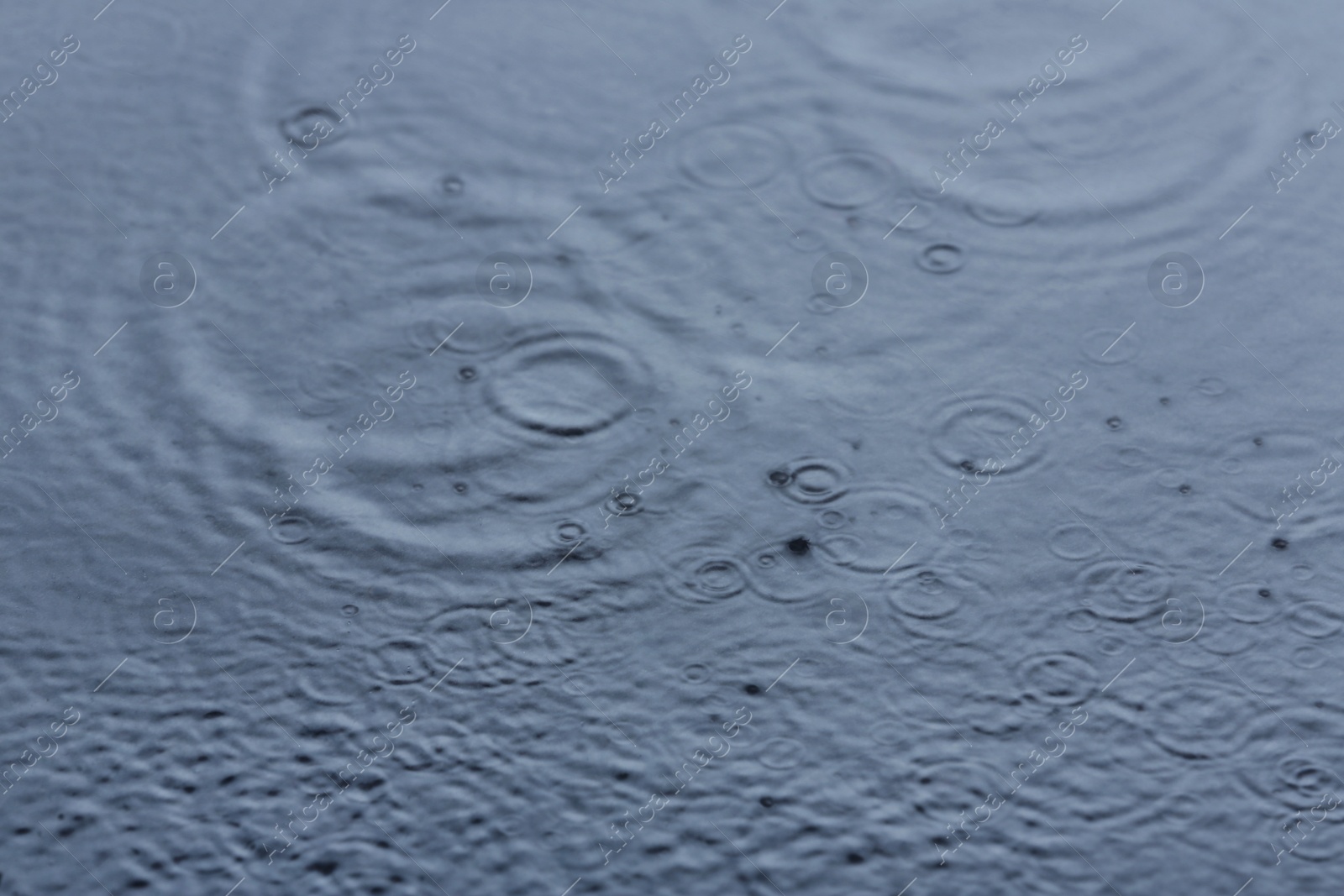 Photo of Rain drops falling down into puddle outdoors