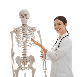 Photo of Female orthopedist with human skeleton model on white background