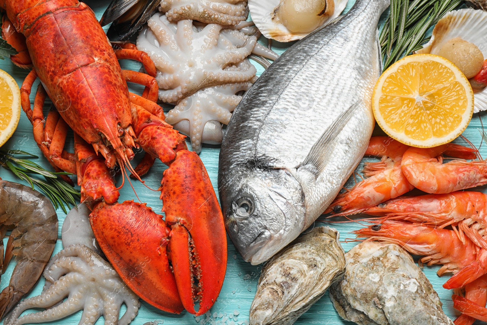 Photo of Fresh fish and different seafood on blue wooden table, flat lay