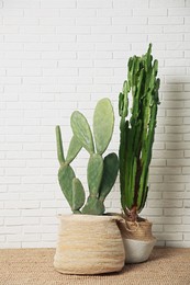 Photo of Beautiful potted cacti near white brick wall. Interior design