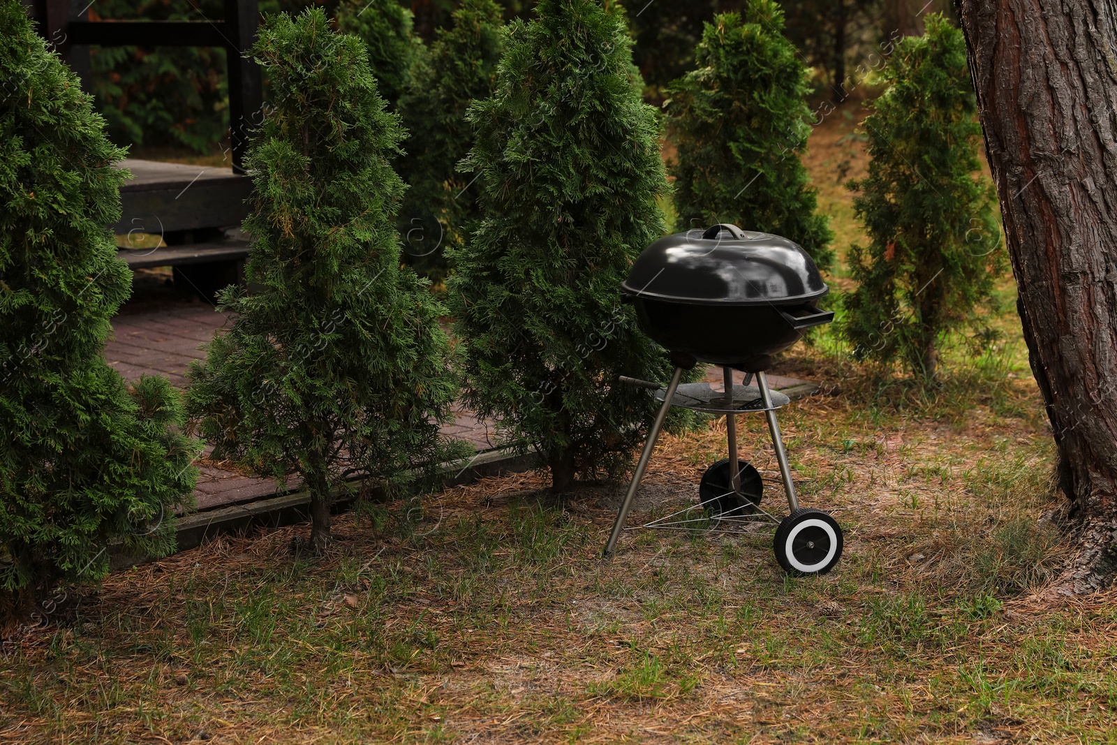 Photo of New barbecue grill near green trees in garden