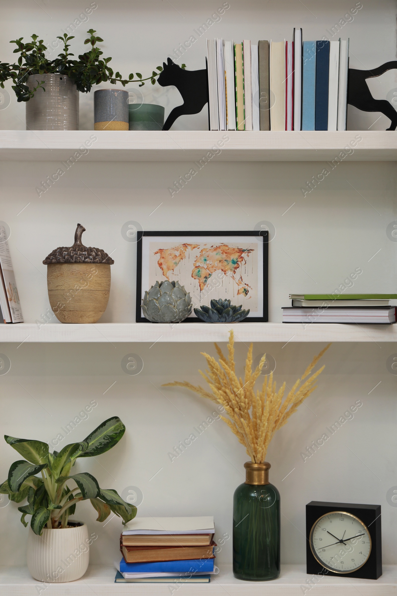 Photo of Cat shaped bookends with books and different decor on shelves indoors. Interior design