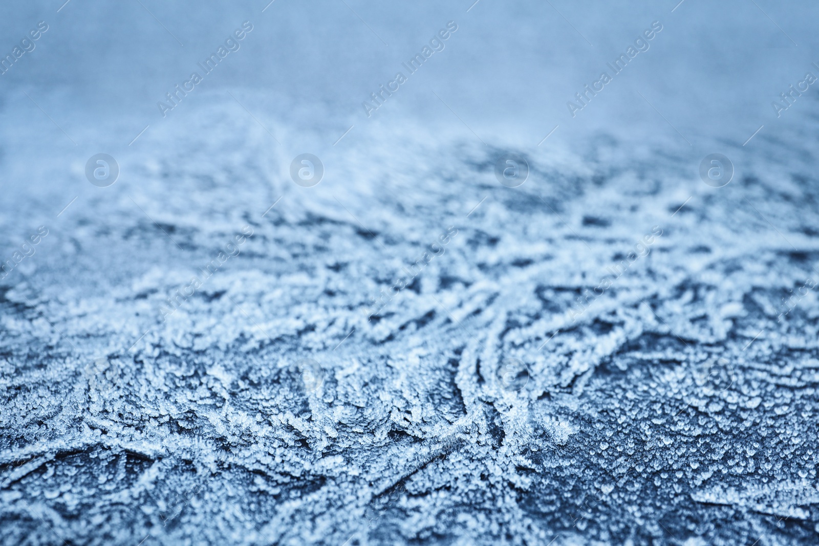 Photo of Surface covered with beautiful hoarfrost, closeup view