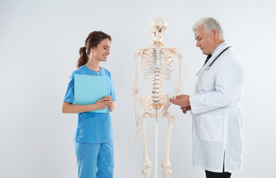 Photo of Professional orthopedist with human skeleton model teaching medical student against light background
