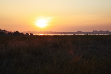 Beautiful view of field at sunrise. Early morning landscape