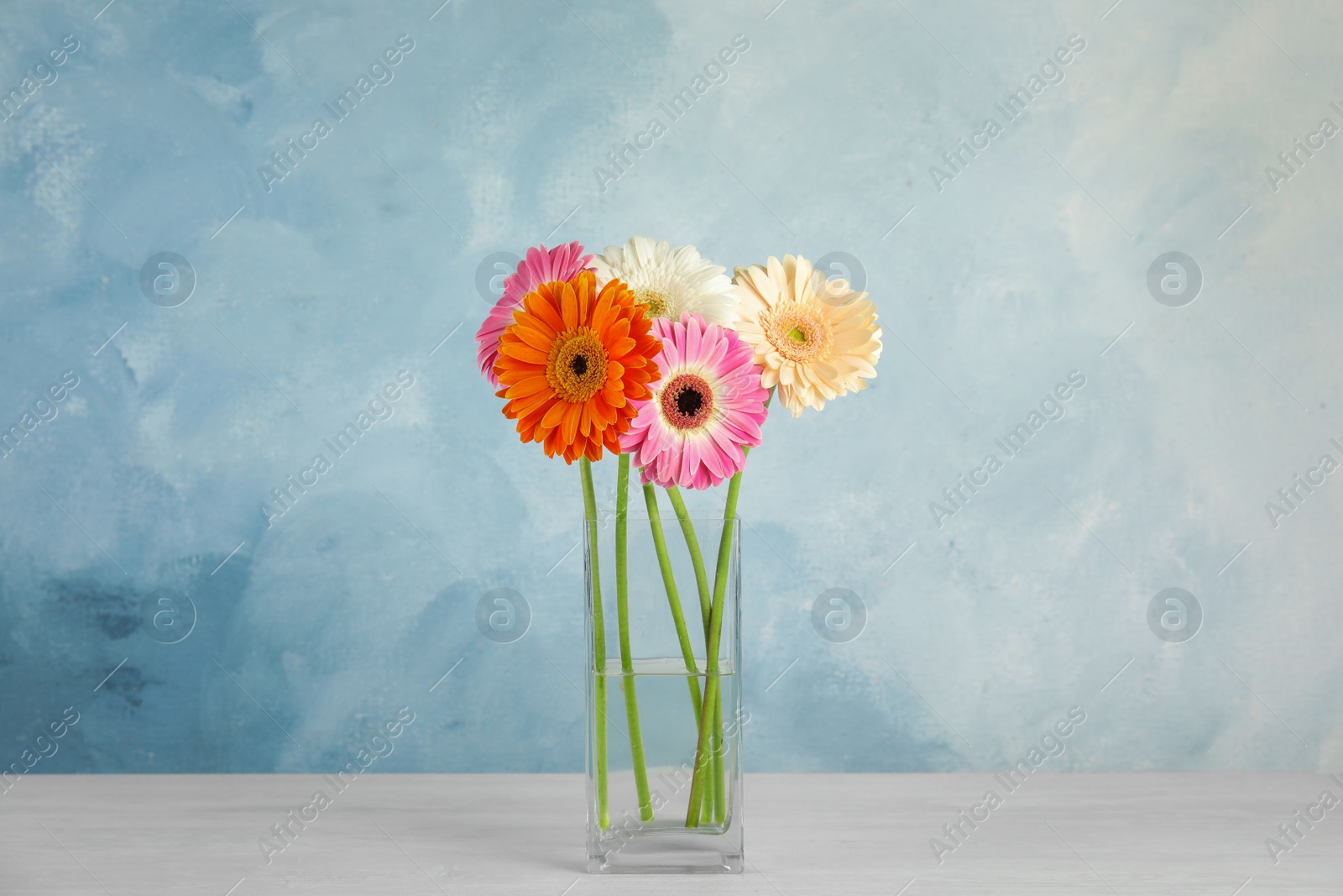 Photo of Bouquet of beautiful bright gerbera flowers in glass vase on table against color background