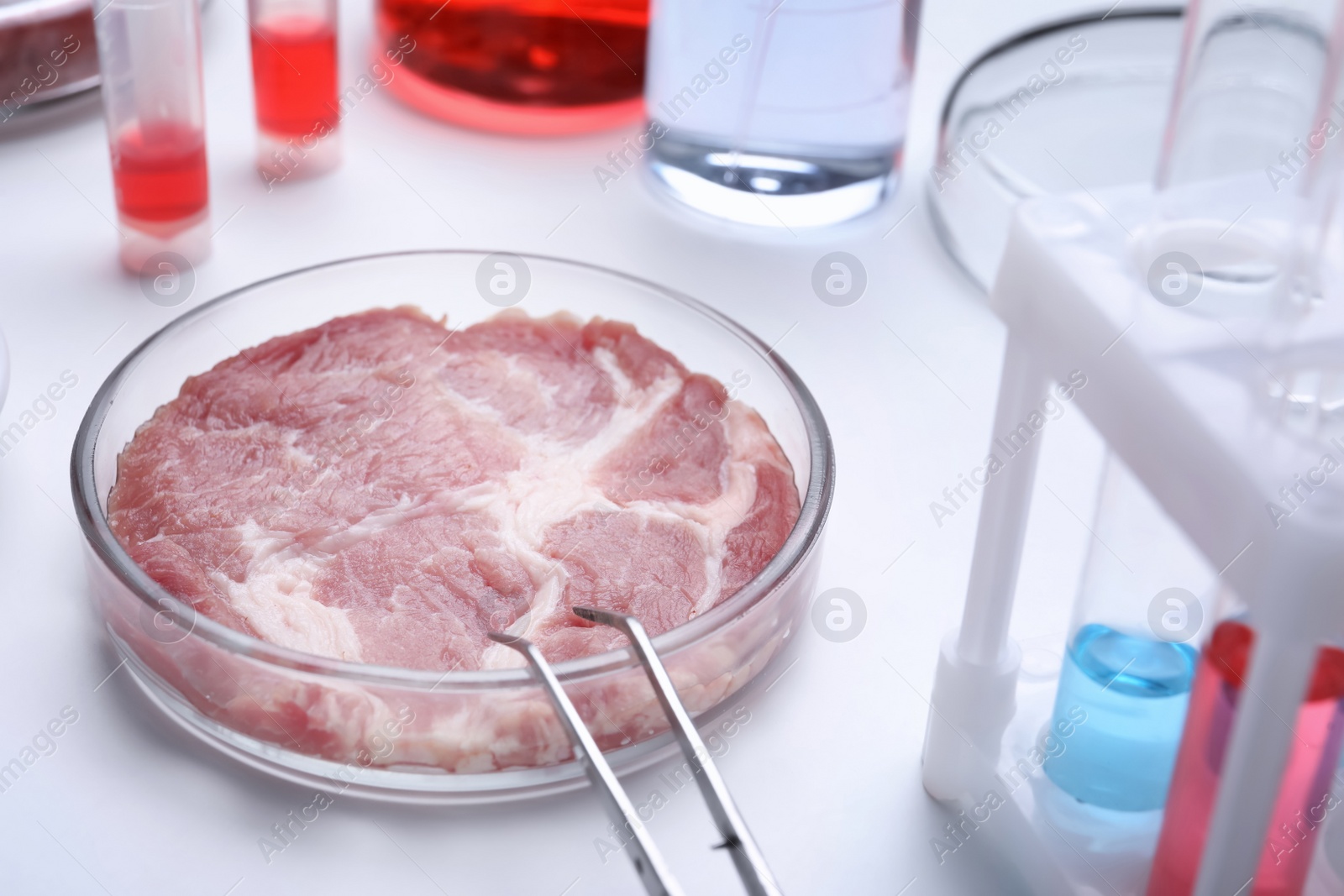 Photo of Sample of cultured meat on white lab table