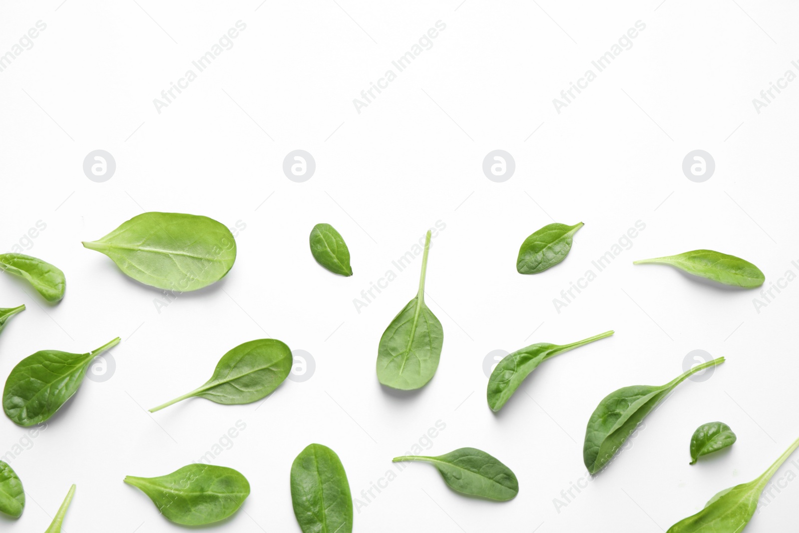 Photo of Fresh green healthy spinach leaves on white background, top view