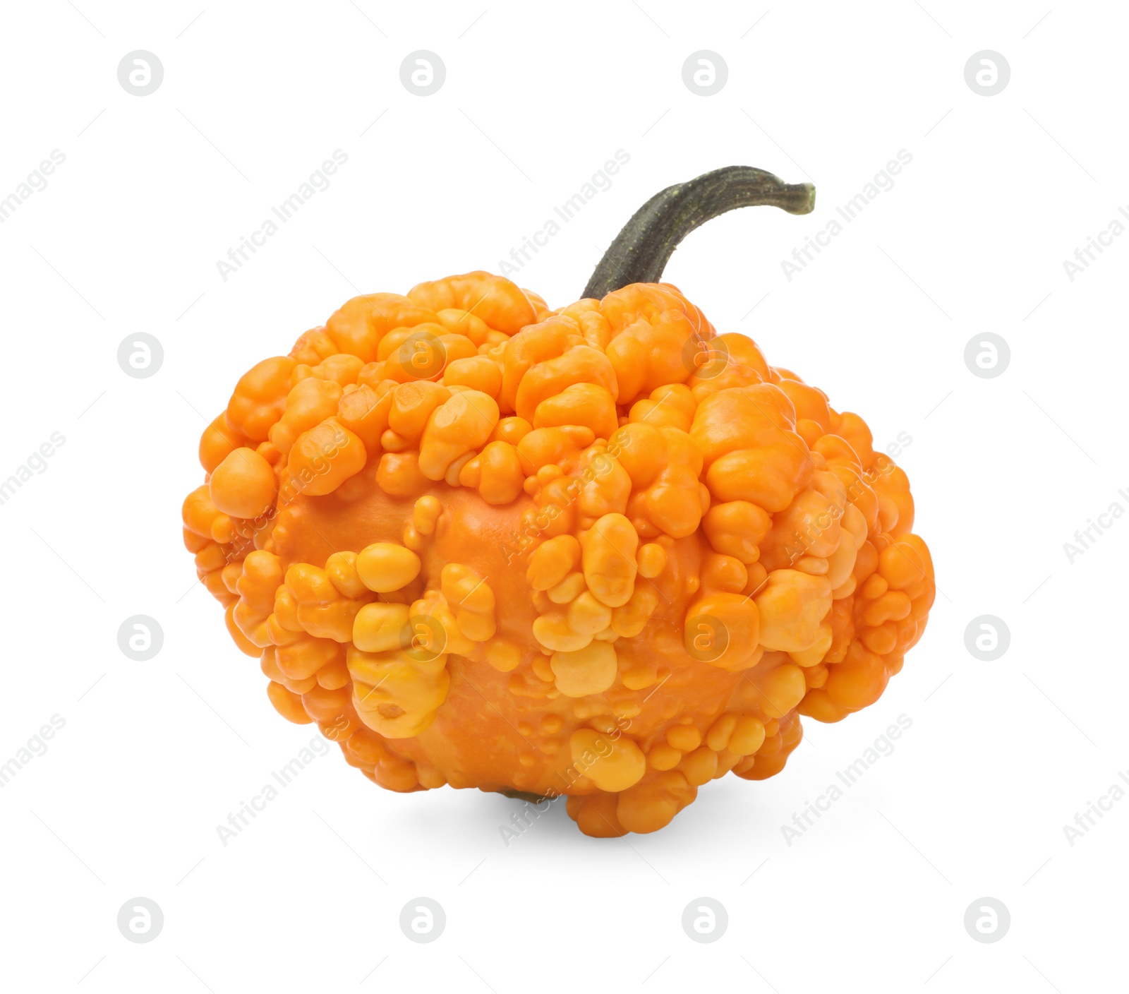 Photo of One fresh orange pumpkin isolated on white