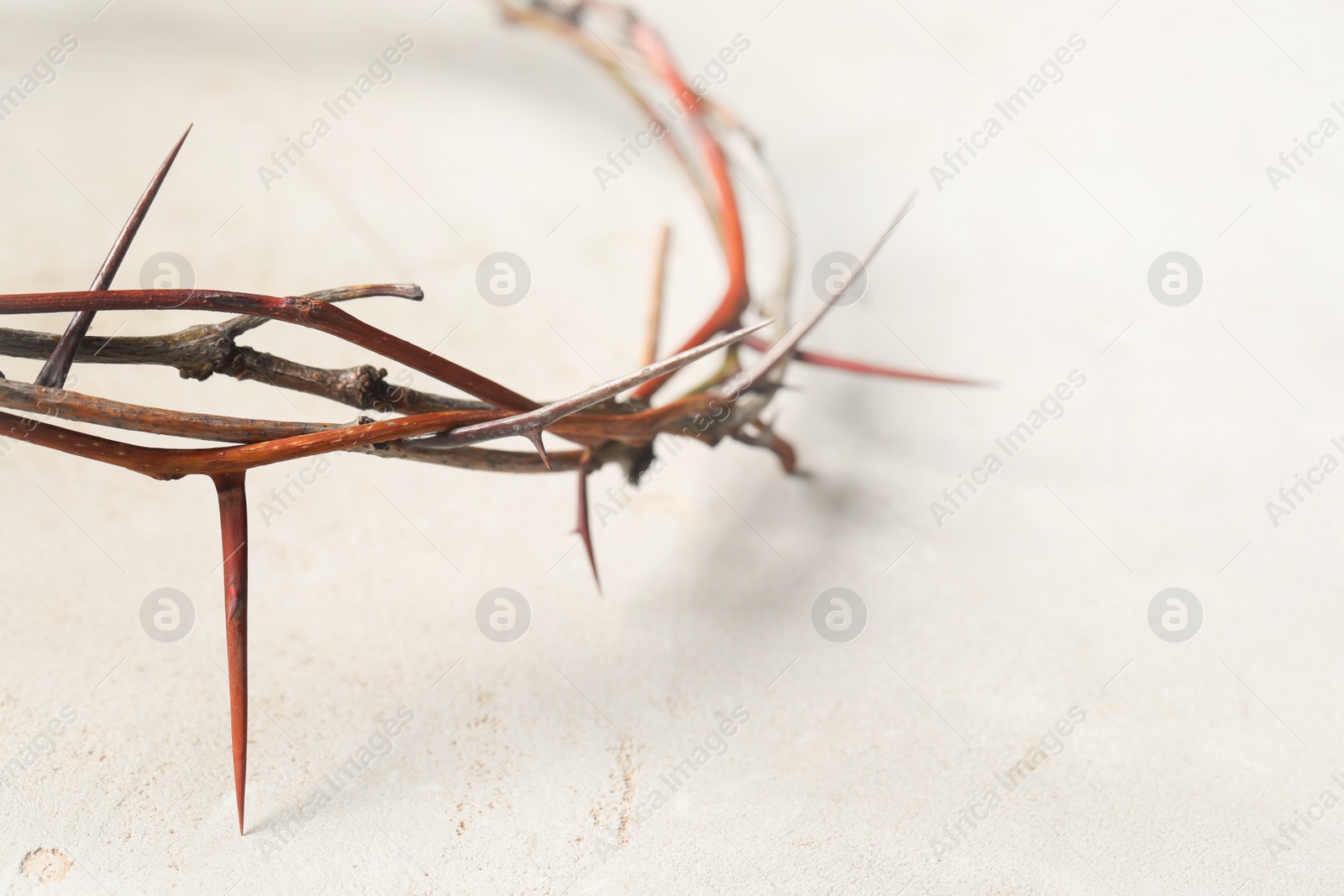 Photo of Crown of thorns on light background, closeup with space for text. Easter attribute