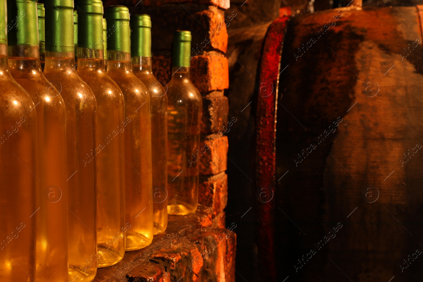 Photo of Many bottles of alcohol drinks on shelf in cellar, space for text