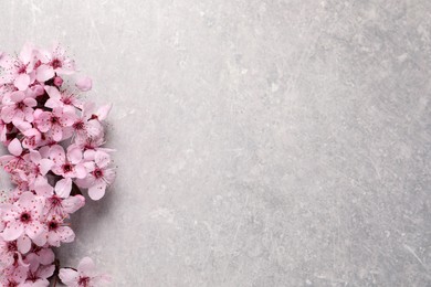 Sakura tree branch with beautiful pink blossoms on light stone table, flat lay. Space for text