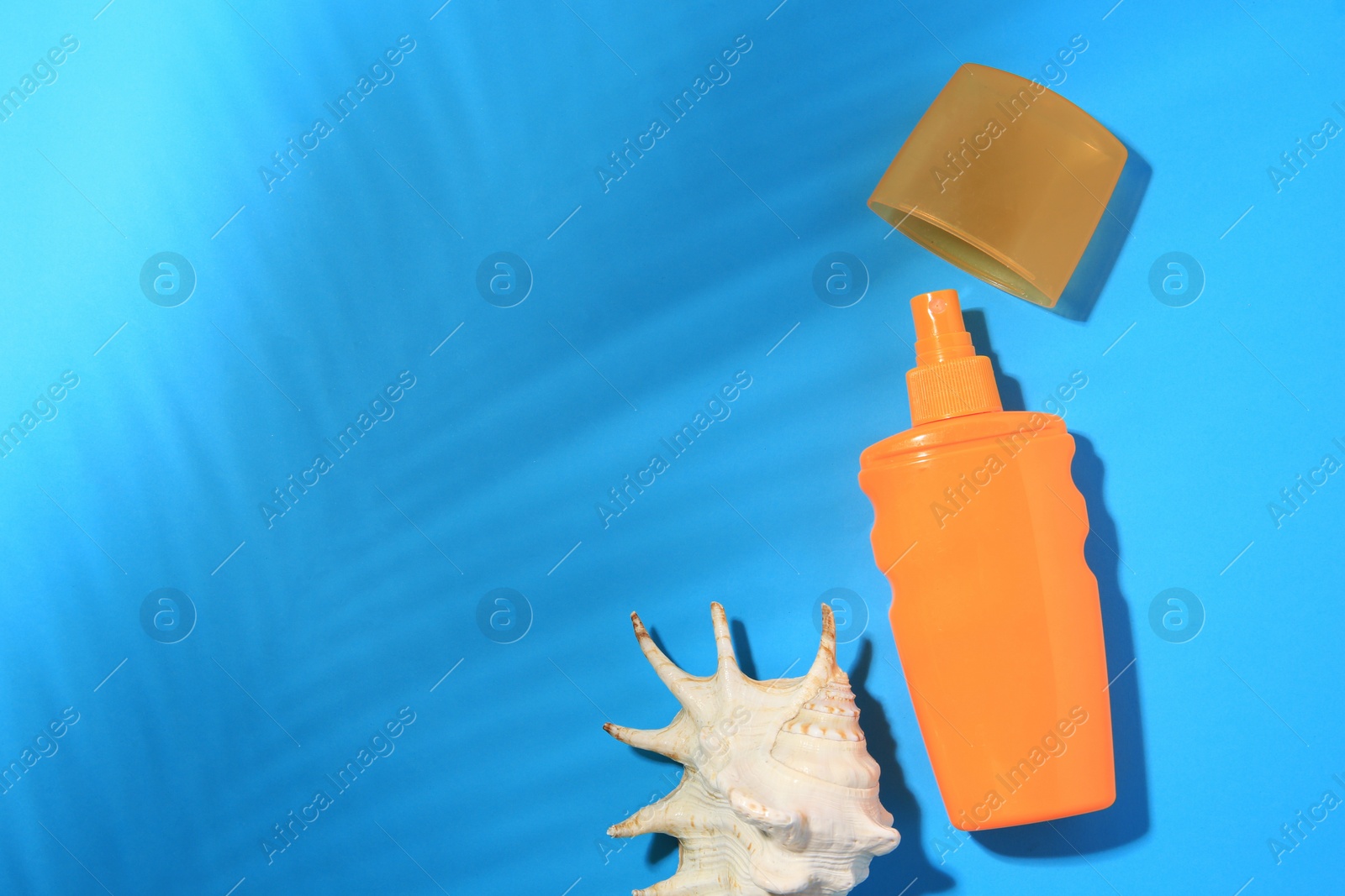 Photo of Sunscreen and seashell on light blue background, flat lay and space for text. Sun protection care