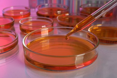 Dripping red liquid into Petri dish with sample on table, closeup