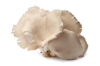 Photo of Delicious organic oyster mushrooms on white background