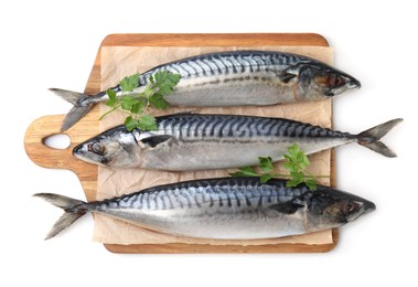 Photo of Mackerel fish with parsley on white background, top view