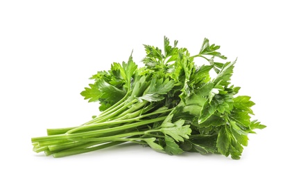 Bunch of fresh green parsley on white background